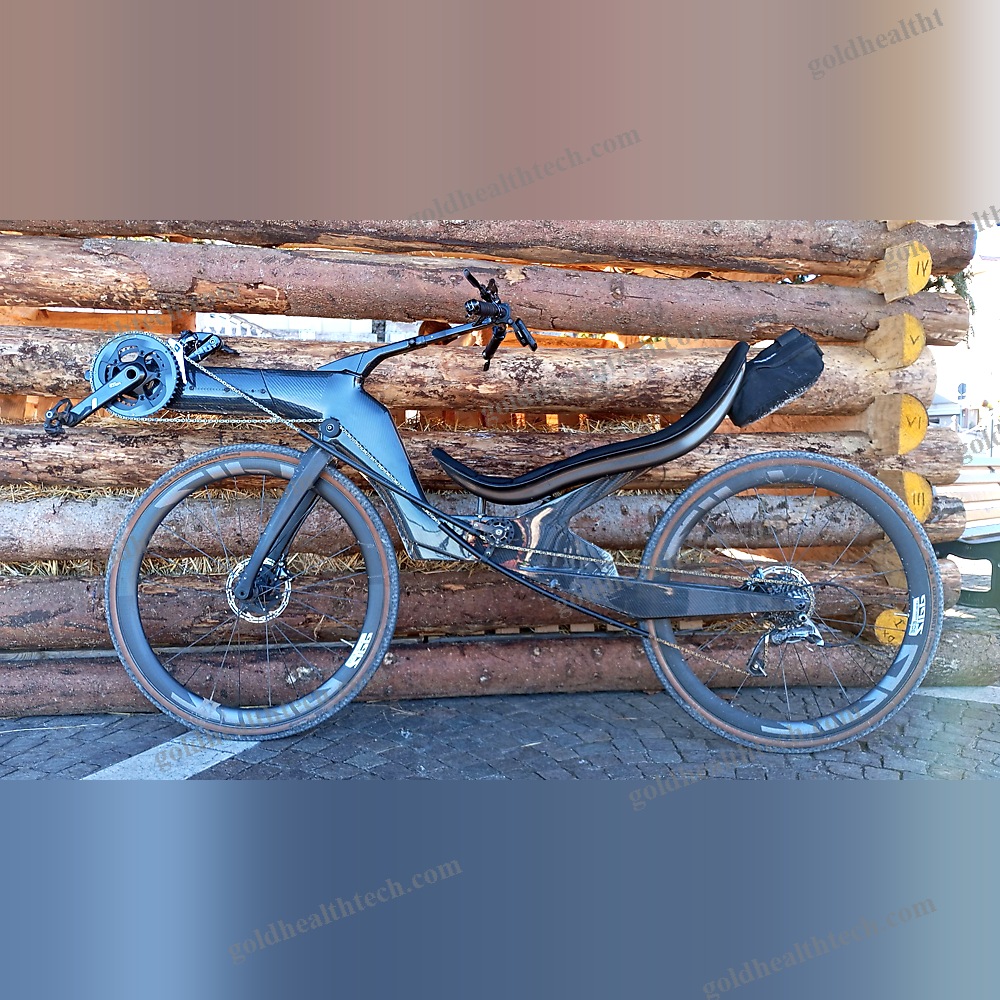 Adult Recumbent Bicycle