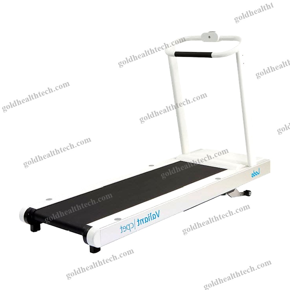 Adult Treadmill Ergometer
