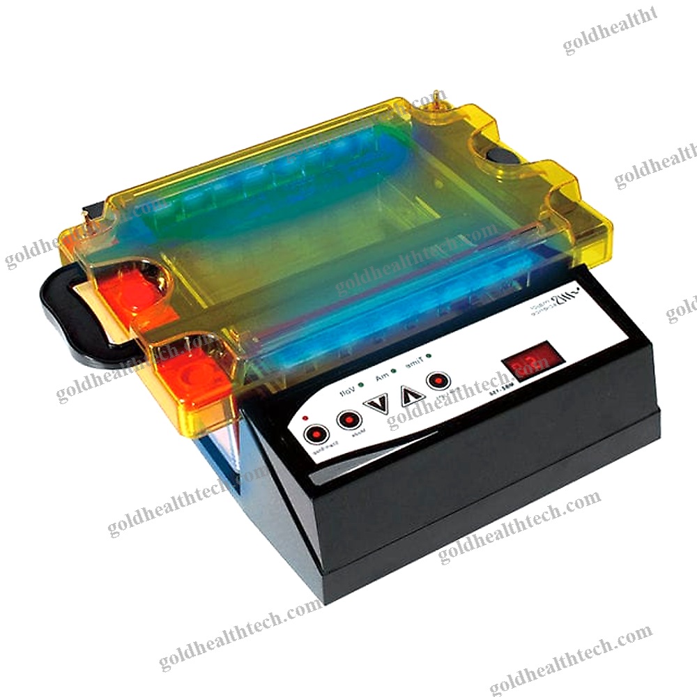Agarose Gel Electrophoresis System