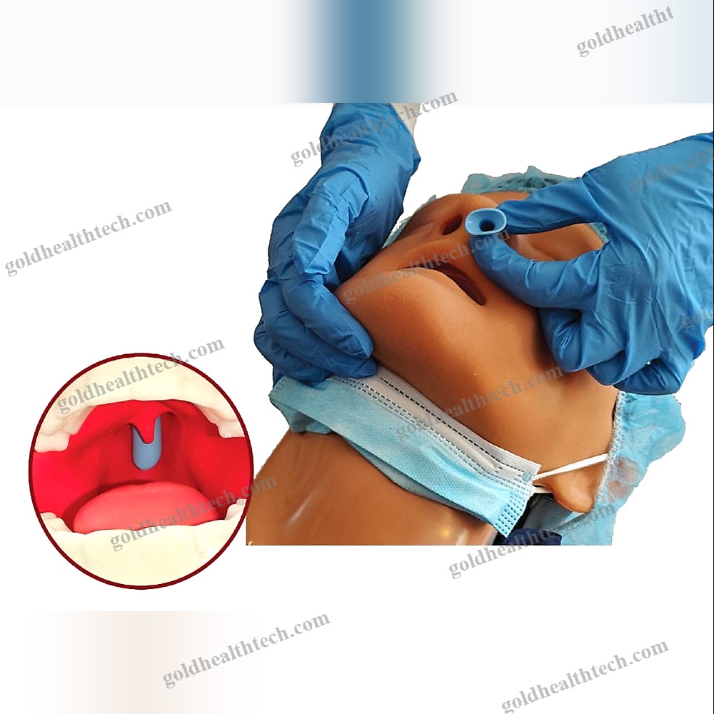 Airway Management Simulator 1