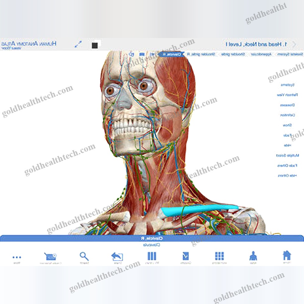 Anatomy Ios Application