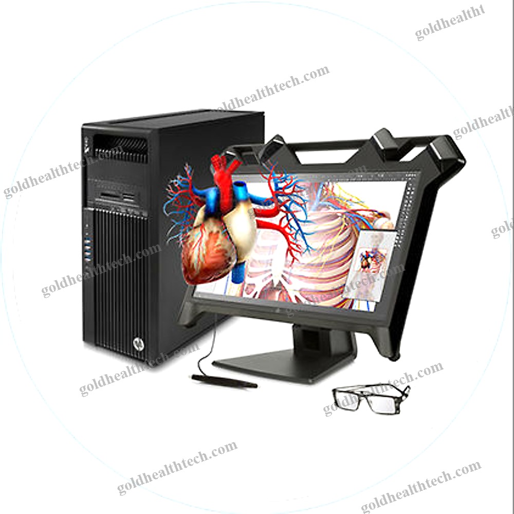 Anatomy Simulator