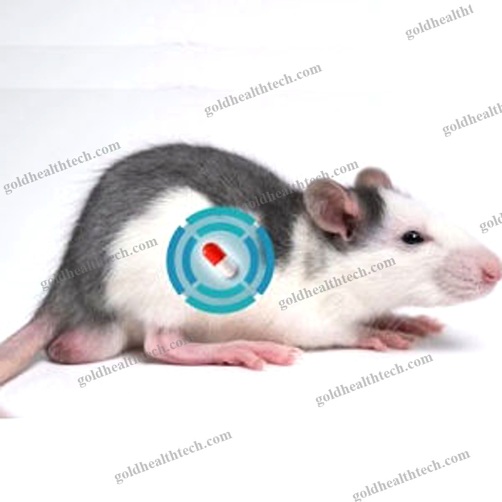 Animal Research Telemetry Implant
