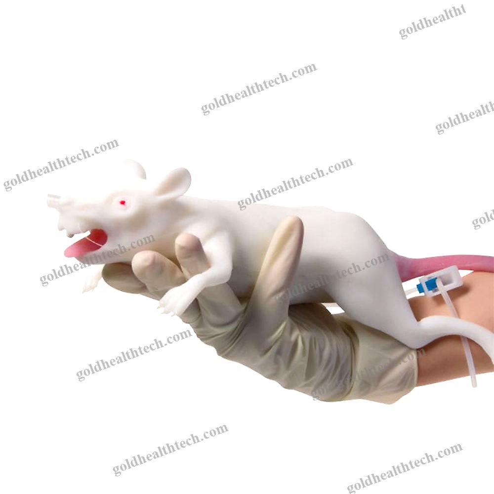 Animal Research Training Manikin