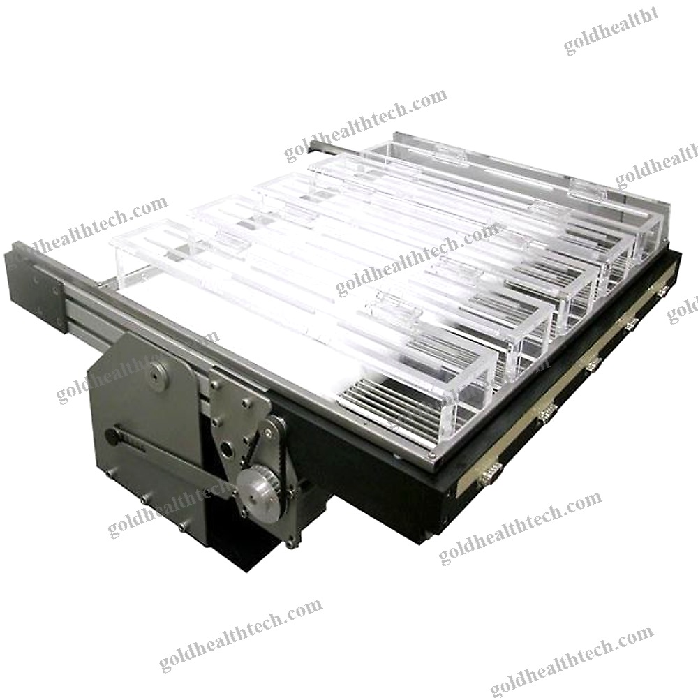 Animal Research Veterinary Treadmill