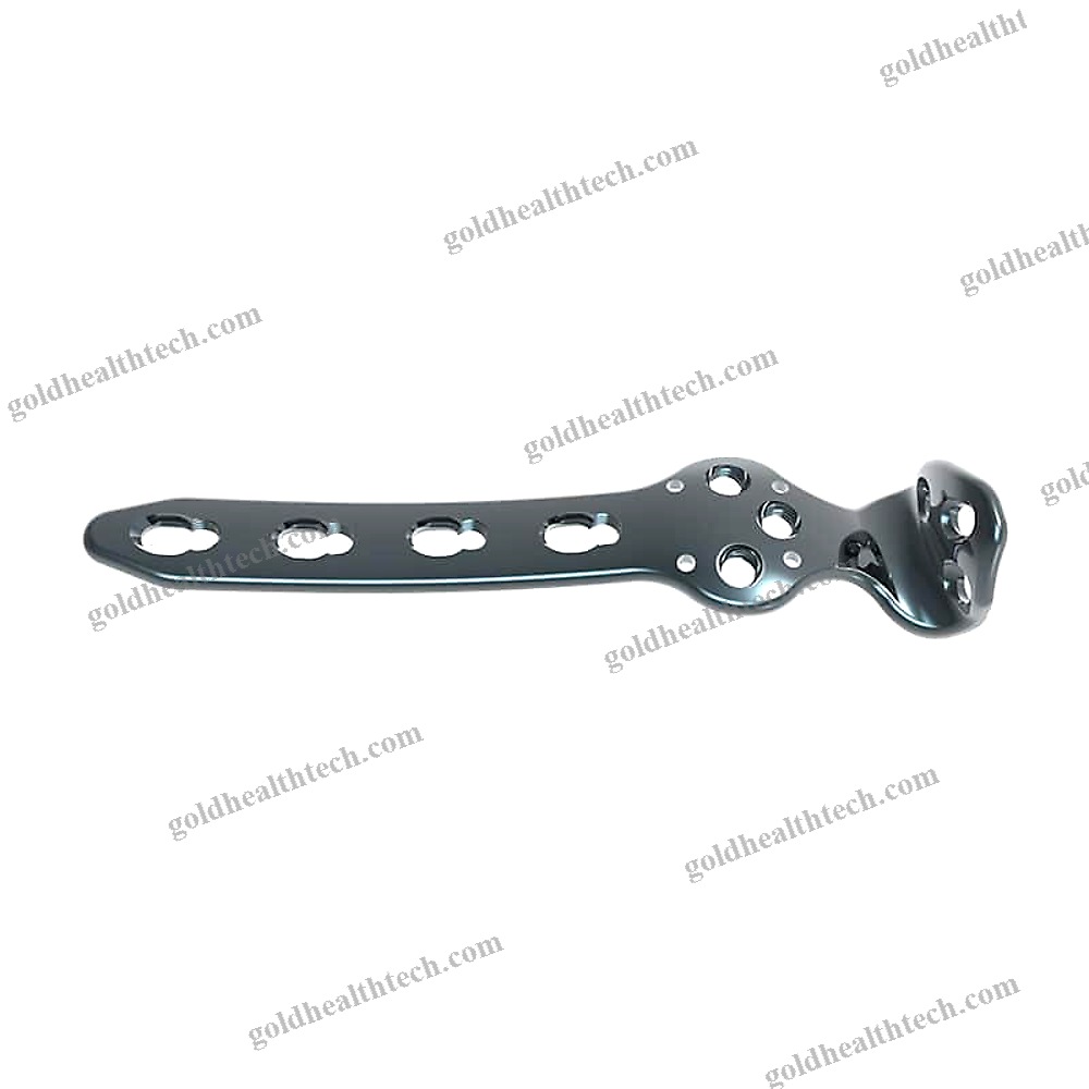 Ankle Arthrodesis Plate