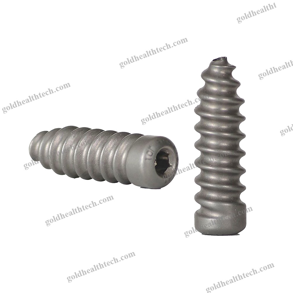 Anterior Cruciate Ligament Interference Screw