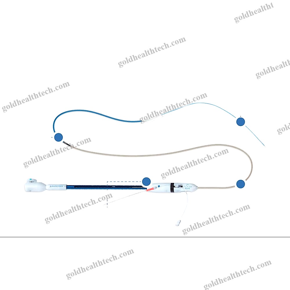 Aortic Arch Stent Graft 1