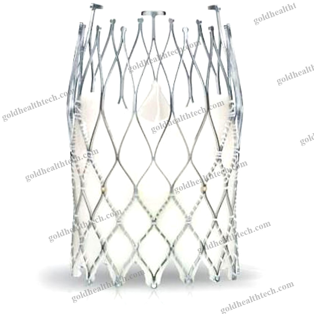 Aortic Valve Bioprosthesis