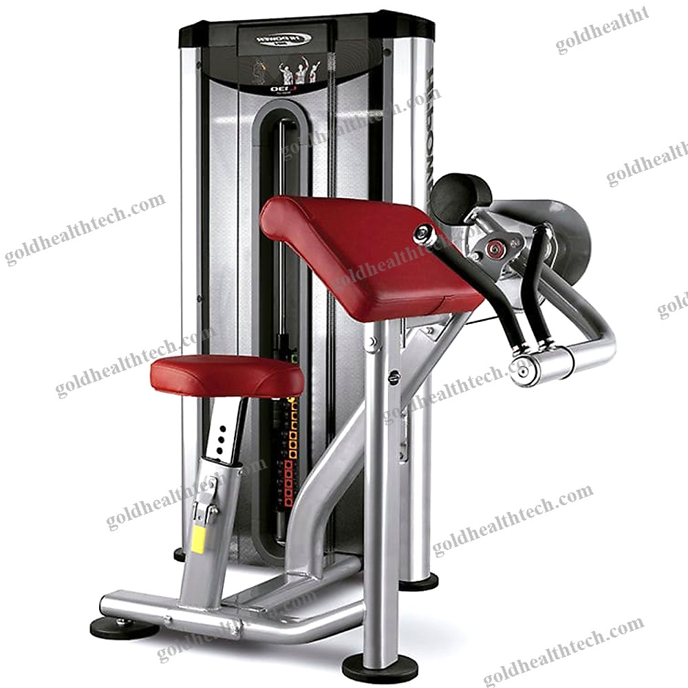 Arm Curl Gym Station