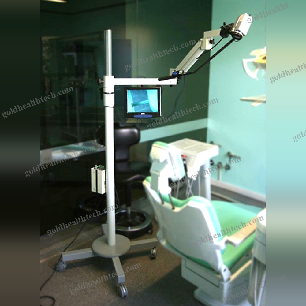 Articulated Support Arm