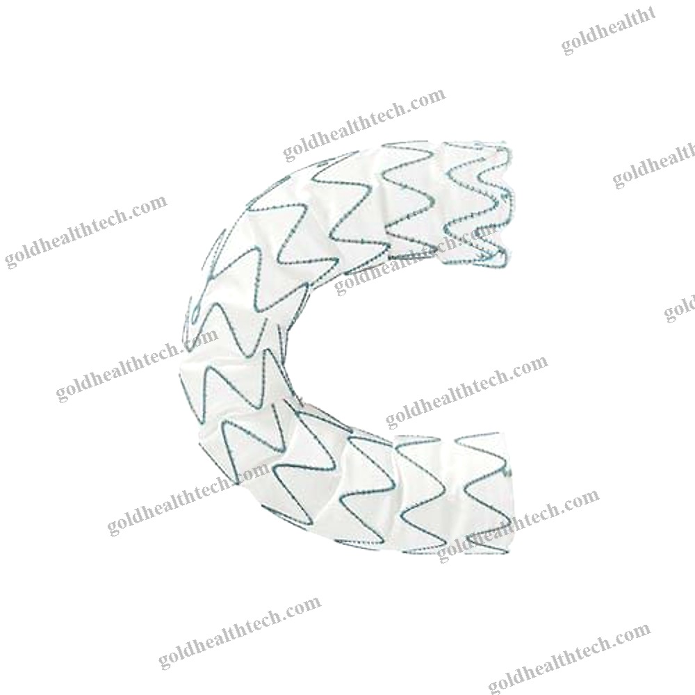 Ascending Thoracic Aorta Stent Graft