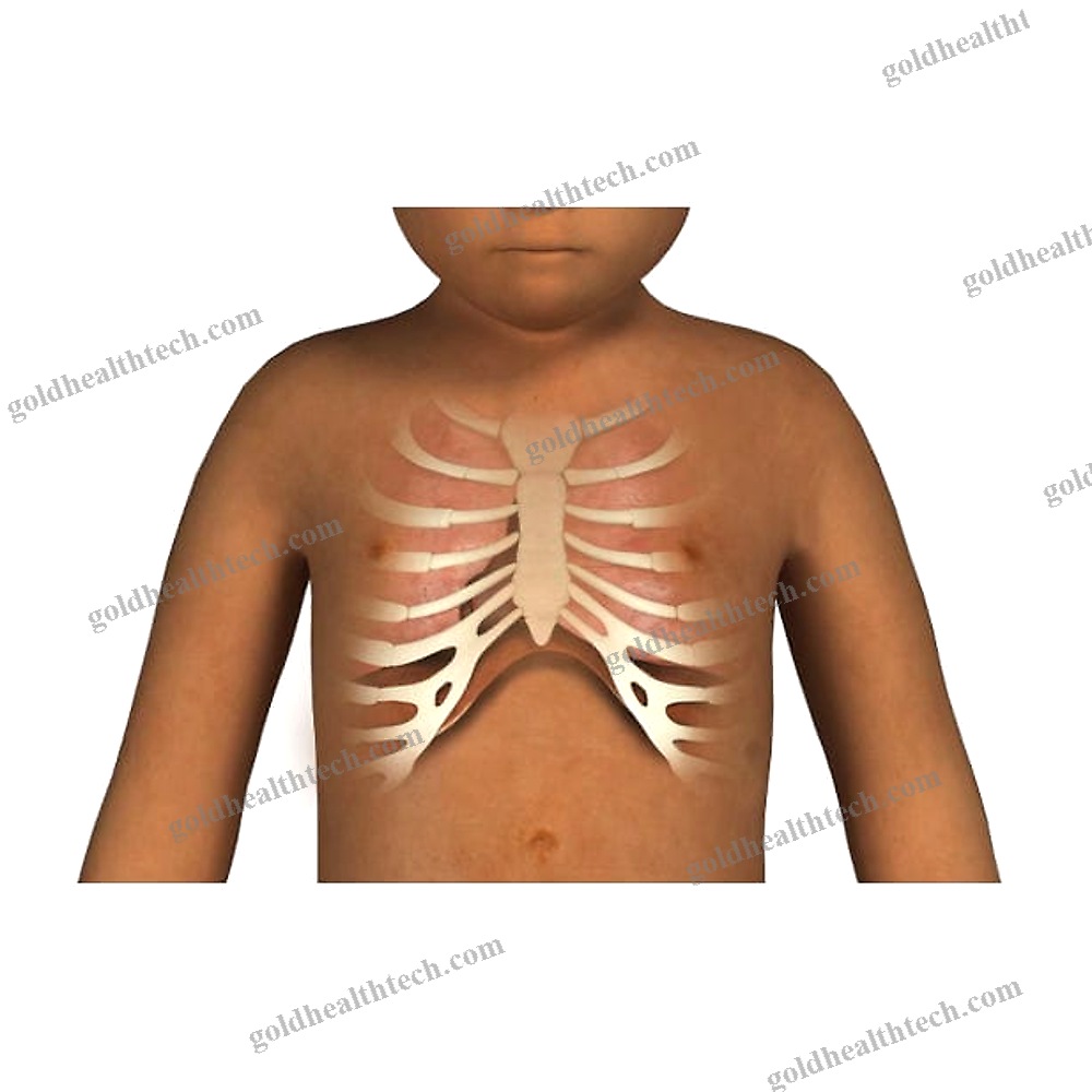 Auscultation Simulation Module