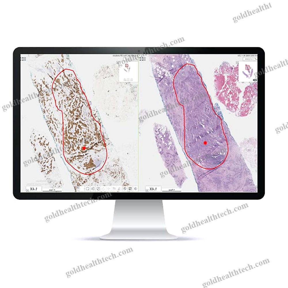 Automatic Cell Imaging System