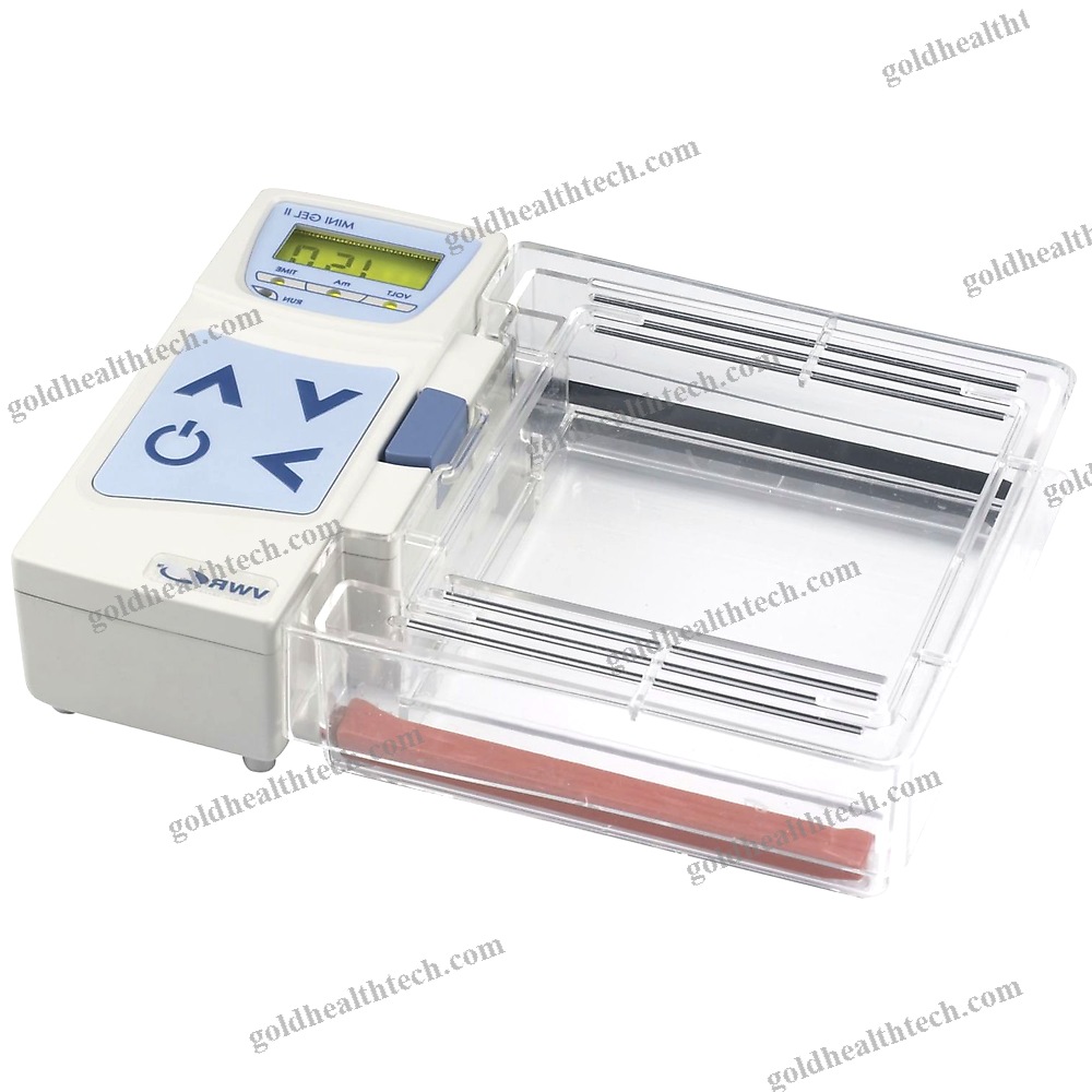 Automatic Electrophoresis System
