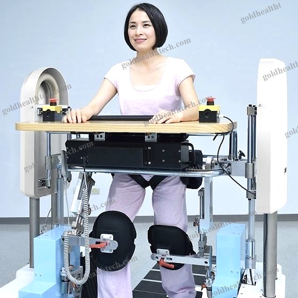 Balance Rehabilitation System