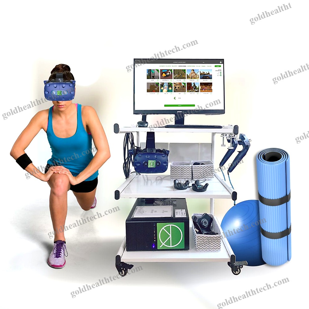 Balance Rehabilitation System 1