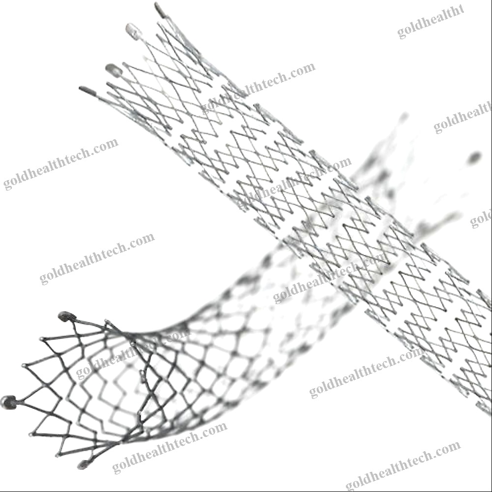 Biliary Stent