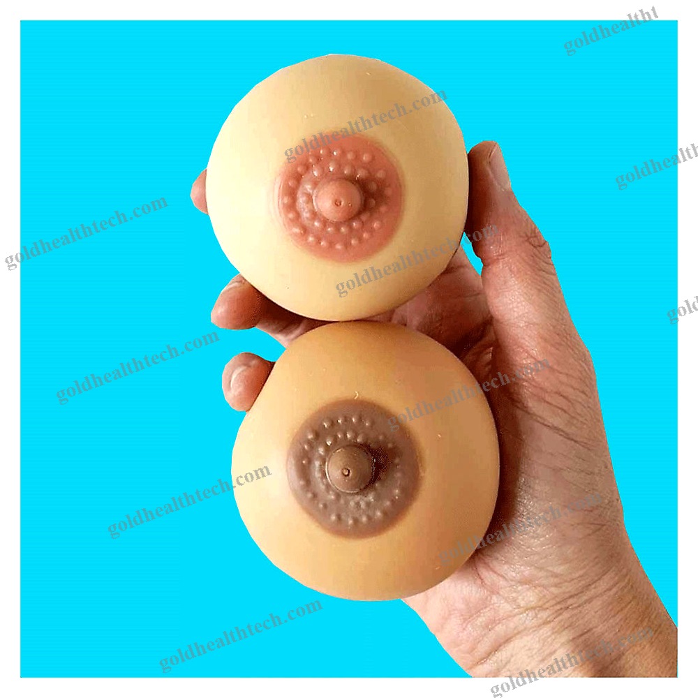 Breast Model