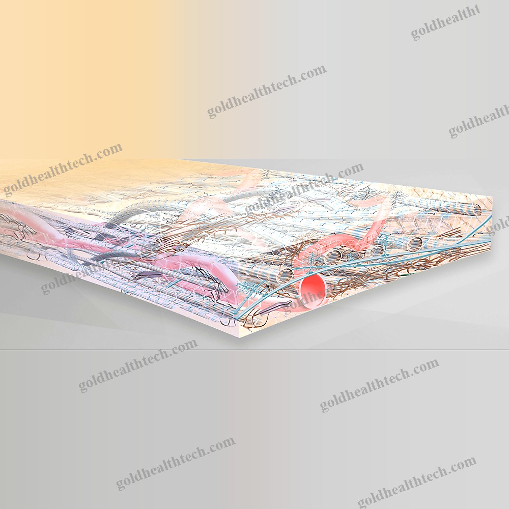 Buccal Tissue Matrix
