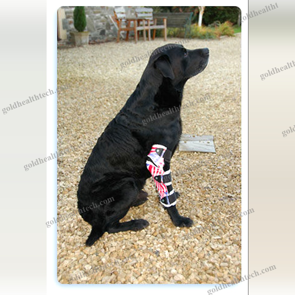 Canine Veterinary Orthosis 1