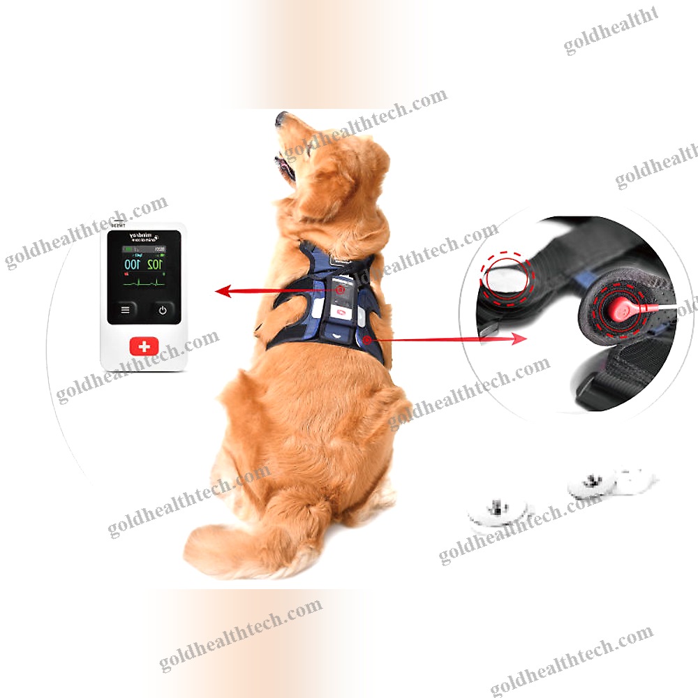 Cardiology Telemetry System 1