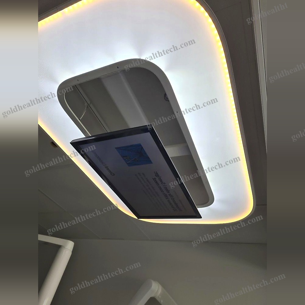 Ceiling-Mounted Lighting