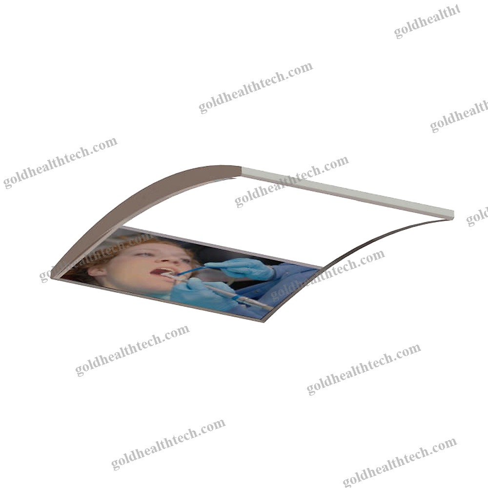 Ceiling-Mounted Lighting