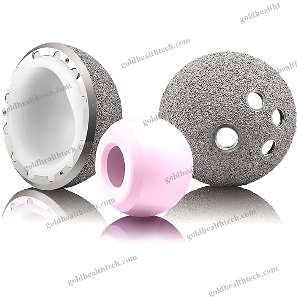 Cementless Acetabular Prosthesis