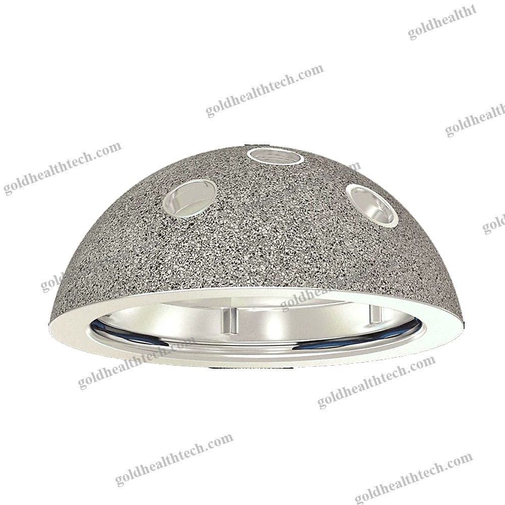Cementless Acetabular Prosthesis