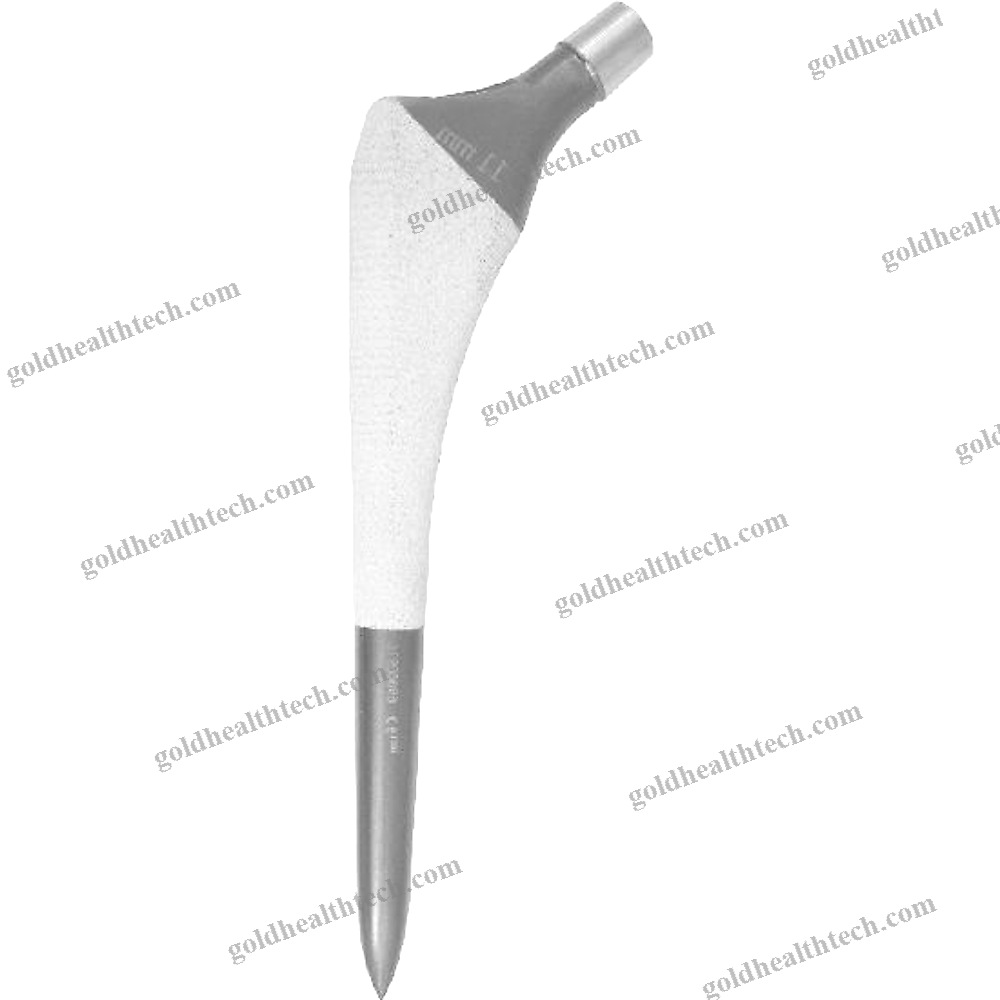 Cementless Femoral Stem
