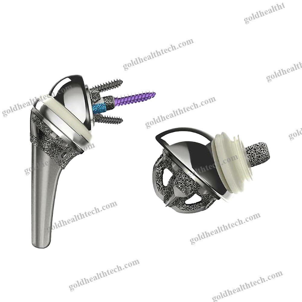Cementless Shoulder Prosthesis
