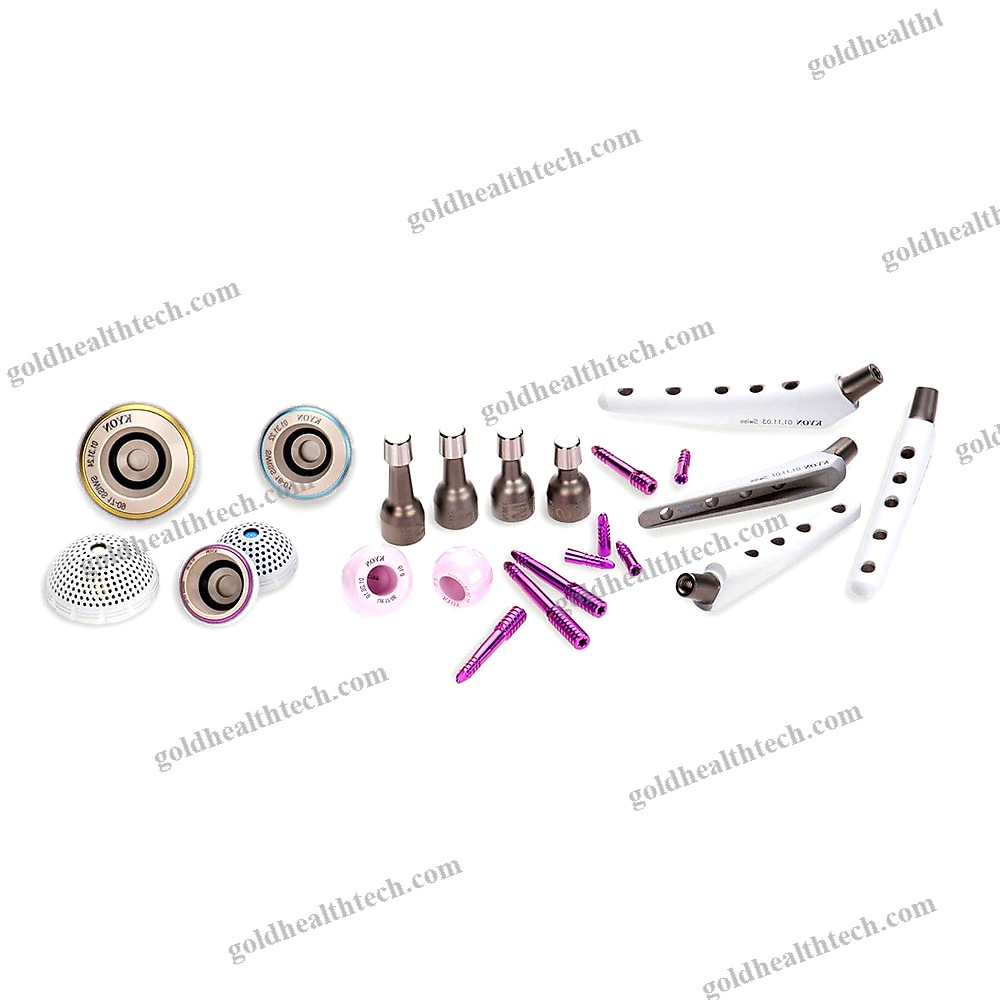 Cementless Veterinary Hip Prosthesis 1