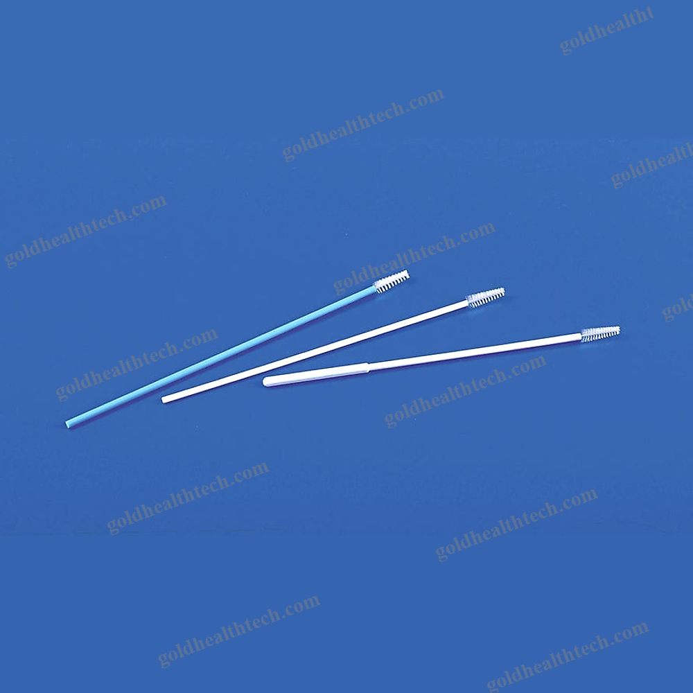 Cervical Cytology Brush