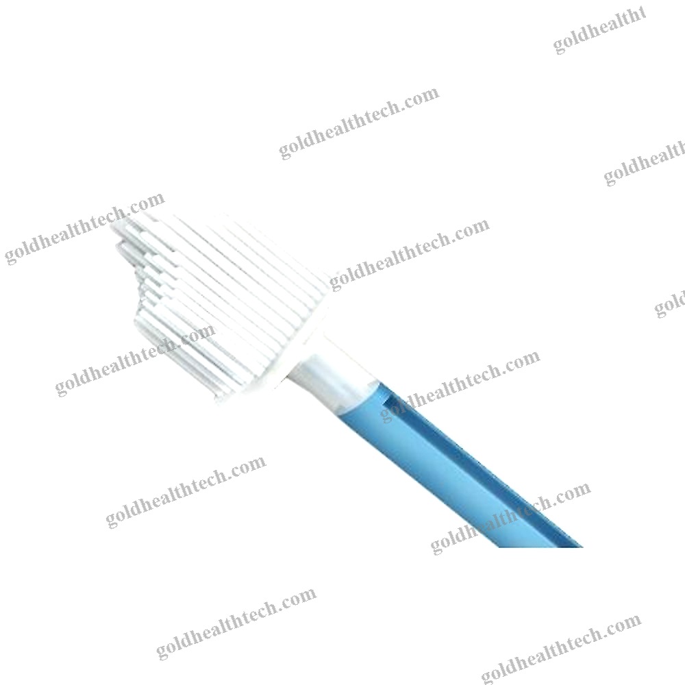 Cervical Cytology Brush