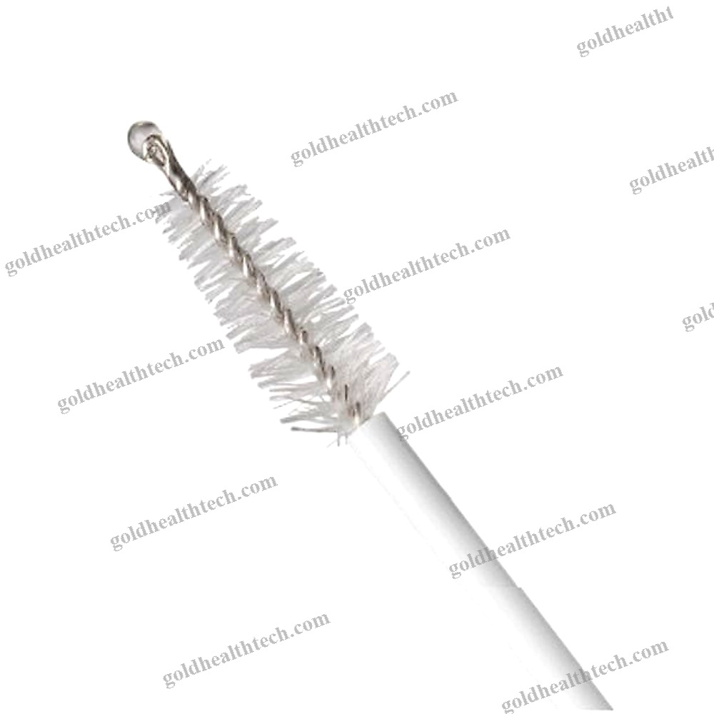 Cervical Cytology Brush