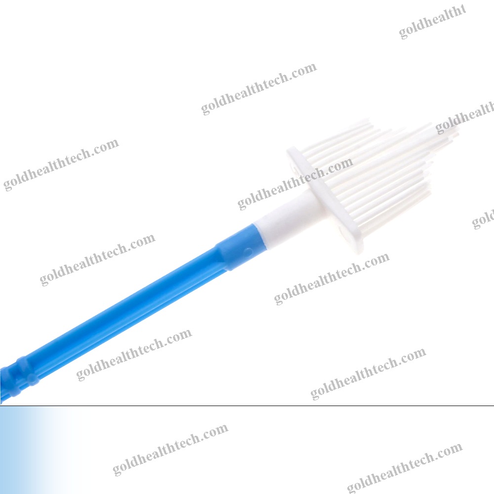 Cervical Cytology Brush