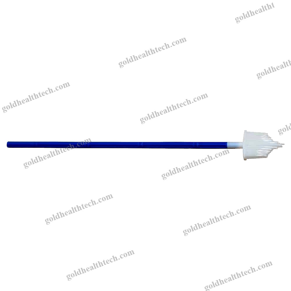 Cervical Cytology Brush