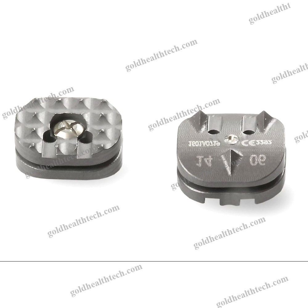 Cervical Disc Prosthesis