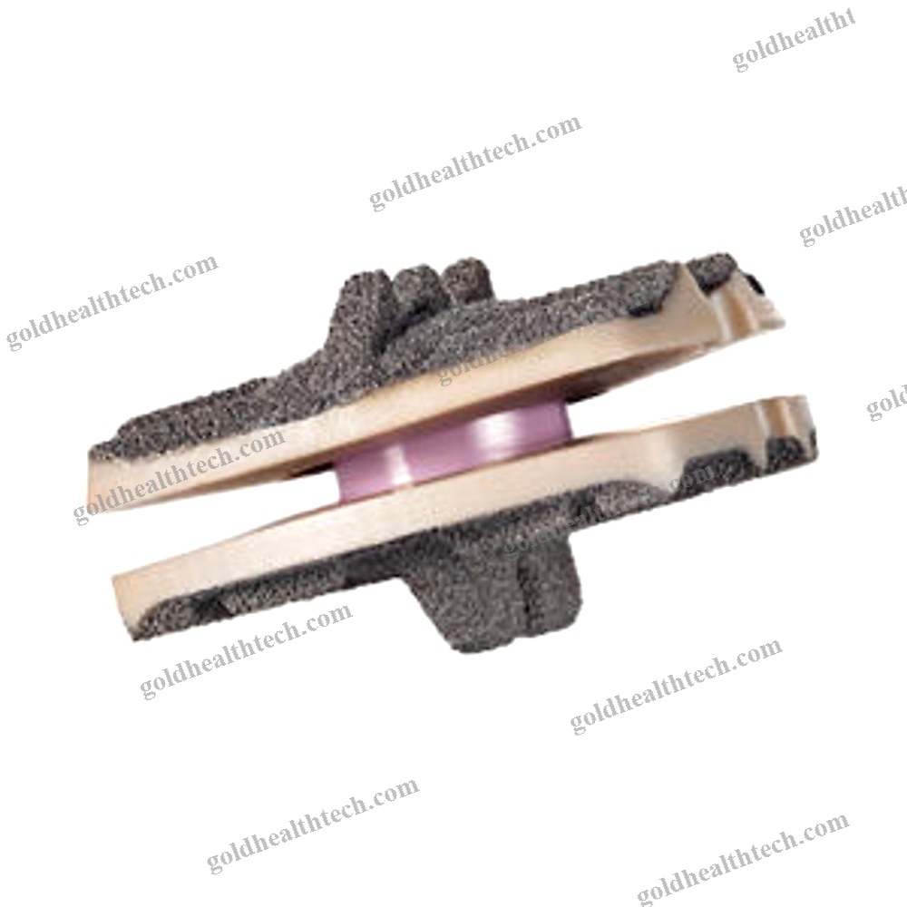 Cervical Disc Prosthesis