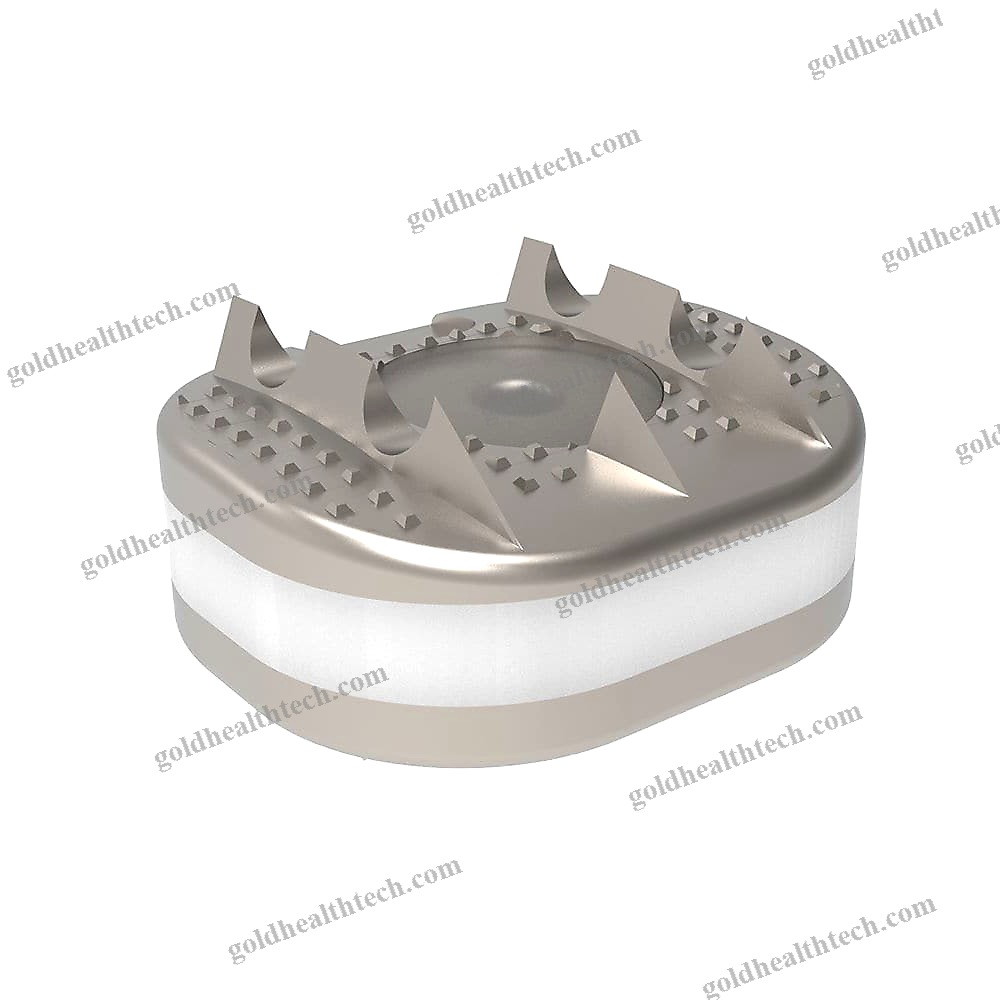 Cervical Disc Prosthesis