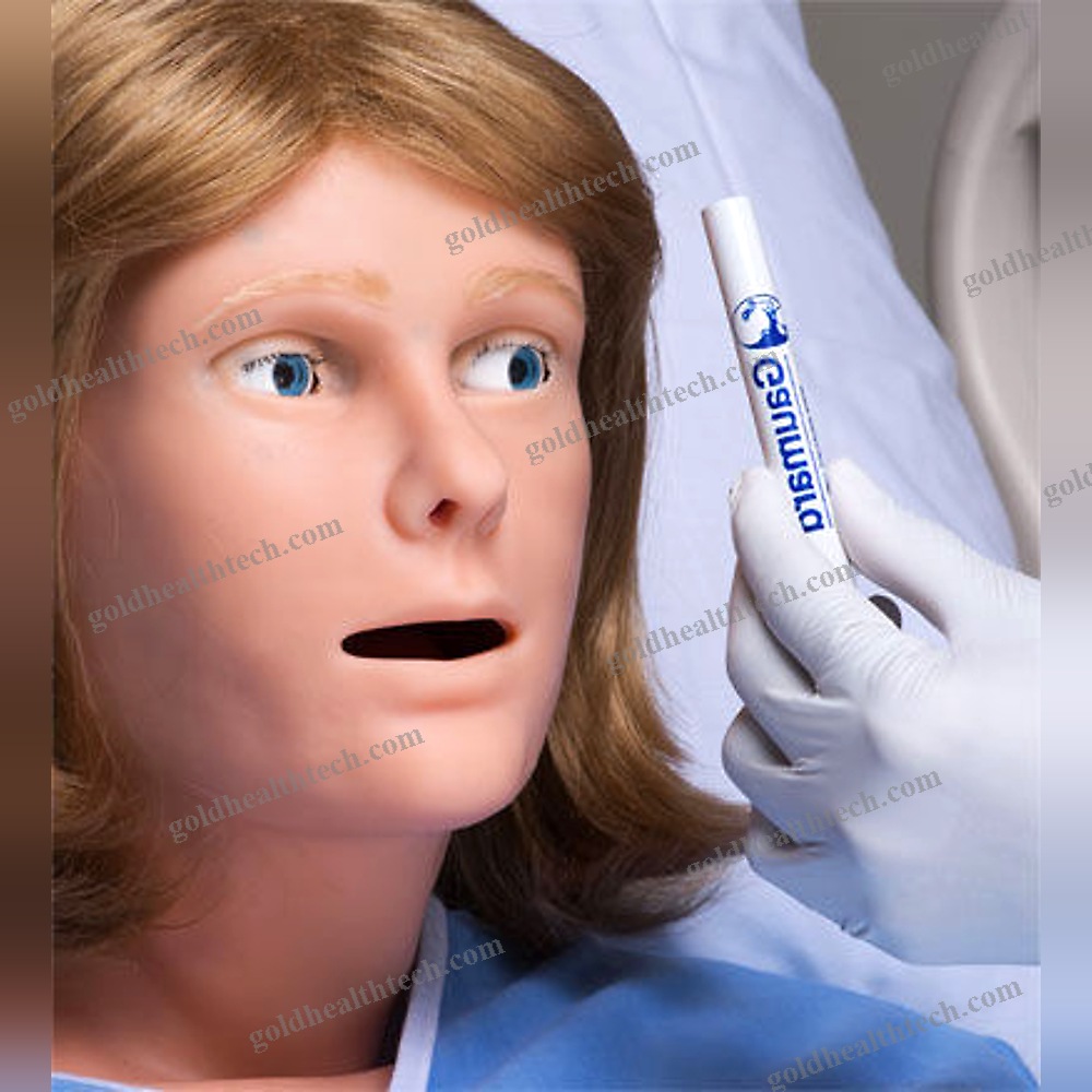 Childbirth Demonstration Simulator 1