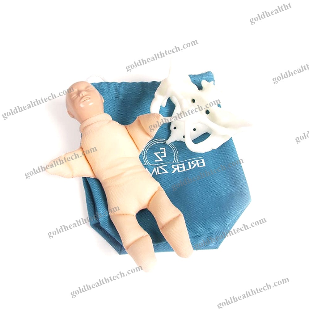 Childbirth Demonstration Simulator 1