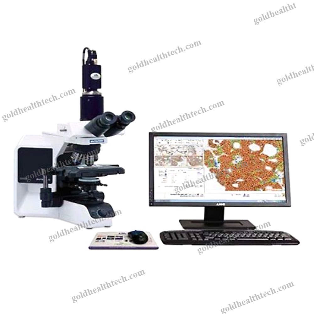 Clinical Software