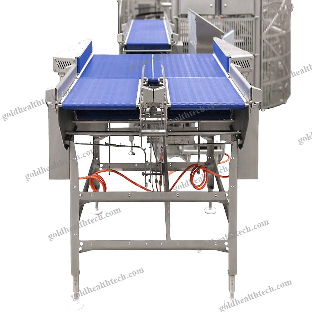 Conveyor For The Food Industry