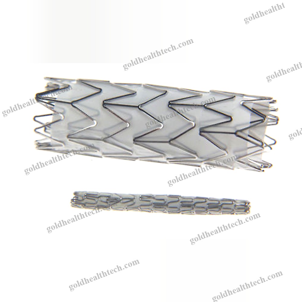 Coronary Arteries Stent Graft