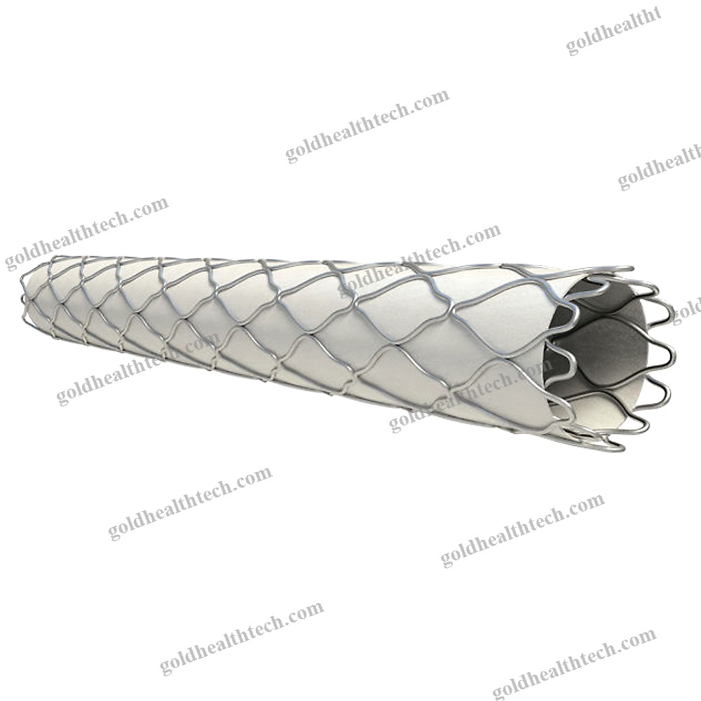 Coronary Arteries Stent Graft
