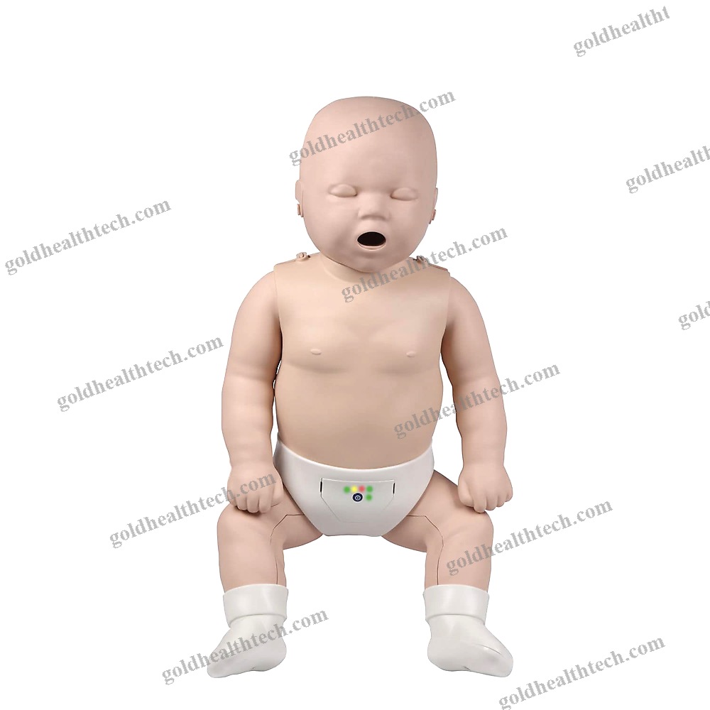 Cpr Training Manikin