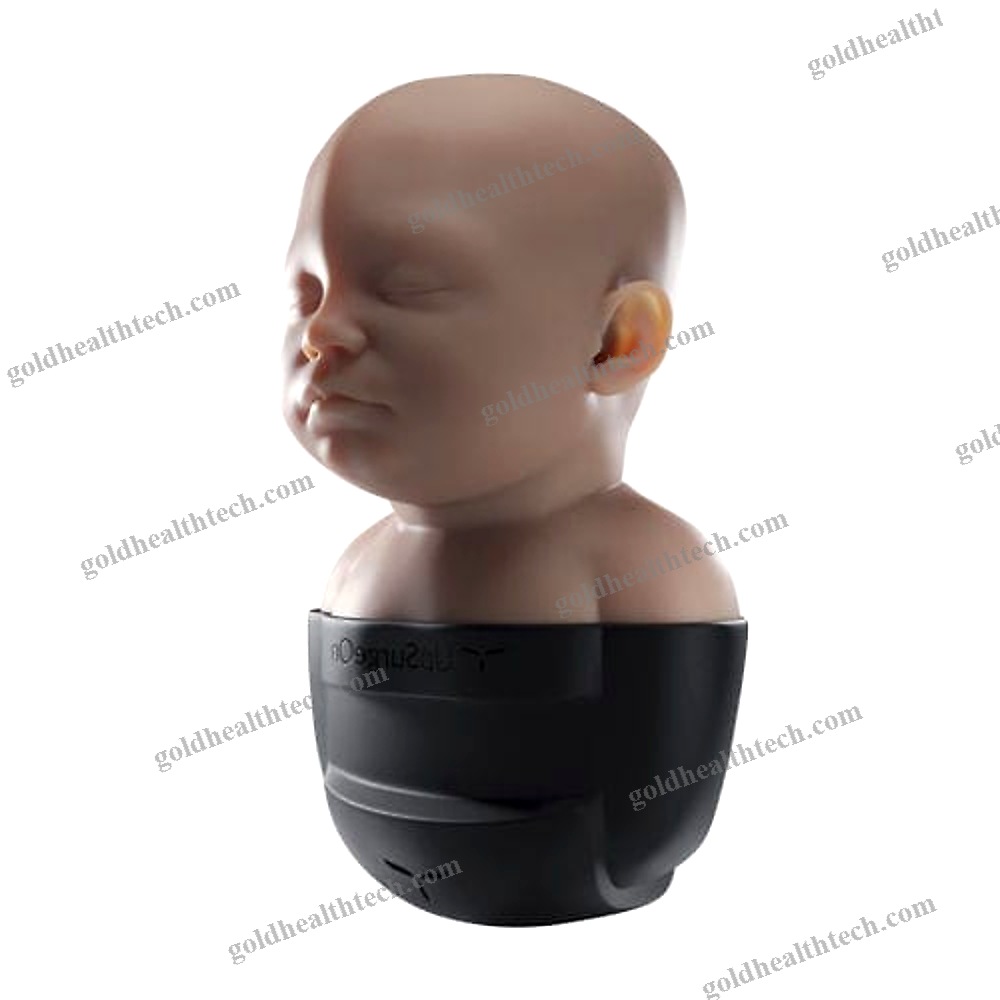 Craniotomy Simulator