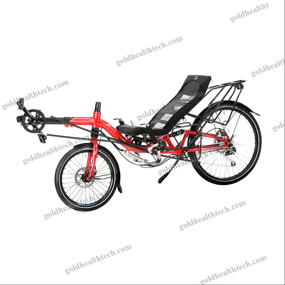 Crank-Propelled Recumbent Bicycle